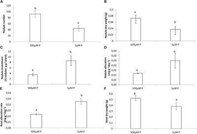 Roots and Nodules Response Differently to P Starvation in the Mediterranean-Type Legume Virgilia divaricata